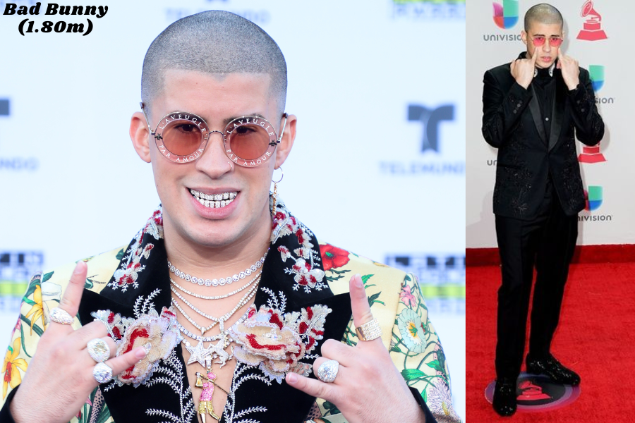 Bad Bunny Height: How Tall He Is? Early Life, Music Career, Relationships, Net Worth And More