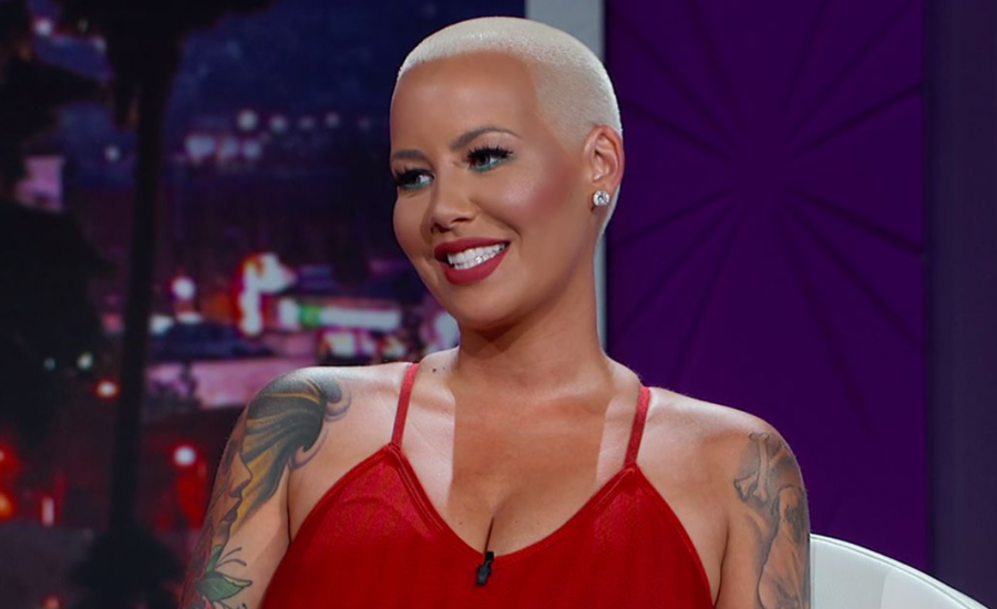 Amber Rose Net Worth Growth