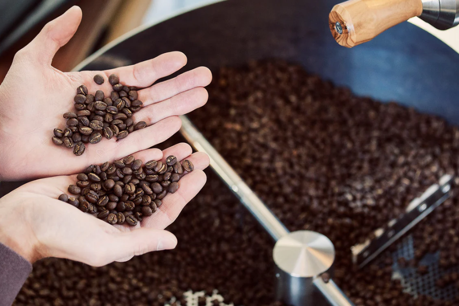 Unique Coffee Varieties In Aruba